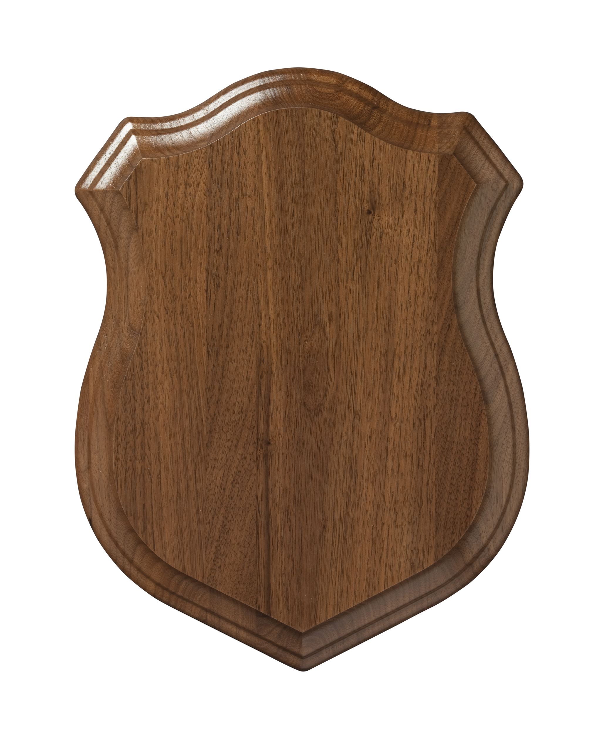 Shield icon representing security